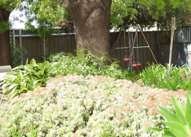 Swingset